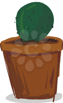 Small potted cactus plant vector or color illustration