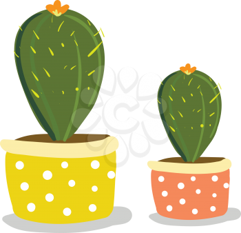 Two cactus decoration vector or color illustration