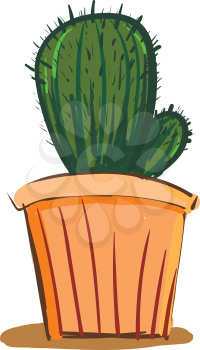 Cactus in earthen pot vector or color illustration