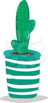 Tall cactus in decorative pot vector or color illustration