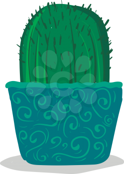 Cactus plant in decorative pot vector or color illustration
