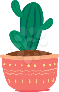 Striped cactus with small arms vector or color illustration