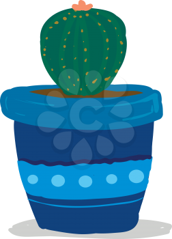 Cactus potted in bright blue flower pot vector or color illustration