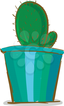 Cactus plant in blue pot vector or color illustration