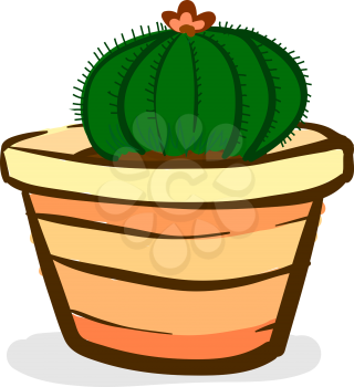 Interior cactus plant vector or color illustration