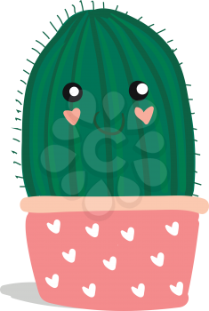 Cactus in pink and white flower pot vector or color illustration