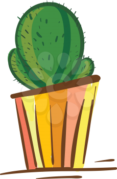 Cactus in colorful flower pot vector or color illustration