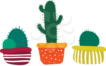 Set of decorative cactus plant pots vector or color illustration