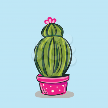 Two layered cactus plant vector or color illustration