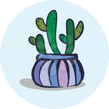 Potted cactus in designer flower pot vector or color illustration