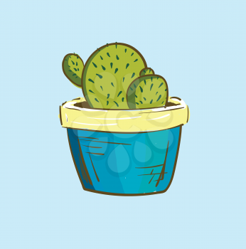 Indoor cactus plant vector or color illustration