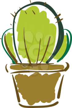 Prickly cactus in pot vector or color illustration