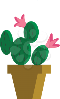 Cactus as Mickey and Minnie vector or color illustration
