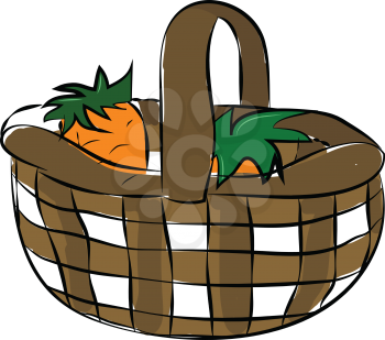 Healthy vegetable carrot vector or color illustration