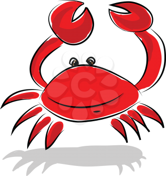A fresh water crayfish vector or color illustration