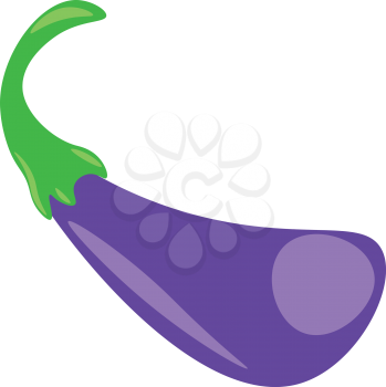 A small eggplant vector or color illustration
