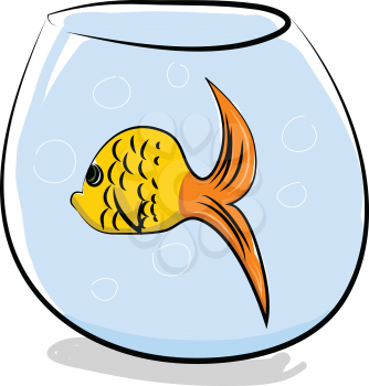Aquarium with yellow fish vector or color illustration