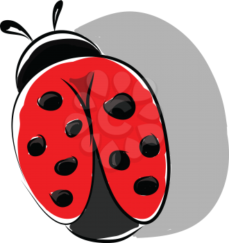 A ladybug at the garden vector or color illustration