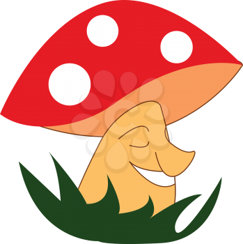 A colorful happy mushroom vector or color illustration