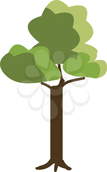 A long-standing tree vector or color illustration