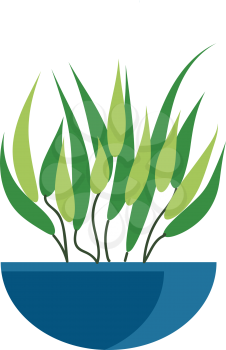 Green leaf plant vector or color illustration
