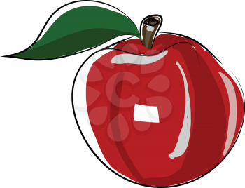 A fresh red apple vector or color illustration