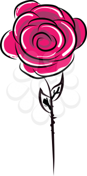 Red rose painting vector or color illustration