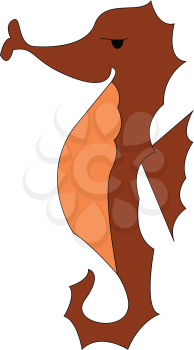 A tropical sea horse vector or color illustration