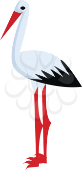 A white Stroke bird vector or color illustration