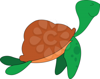 A cute turtle with its shield vector or color illustration