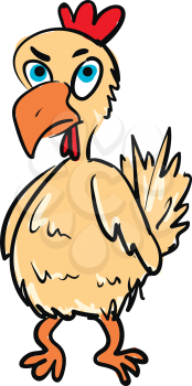 A chicken with blue eyes orange beak and legs red comb and wattles and an angry expression on the face vector color drawing or illustration 