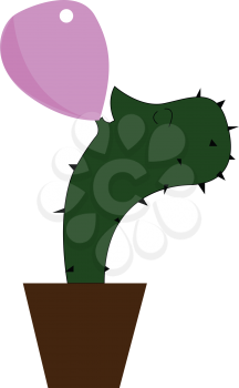A big green potted cactus blowing up a purple balloon vector color drawing or illustration 