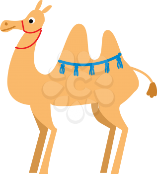 A light brown camel with blue tassels around the hump and a red rope around the neck vector color drawing or illustration 