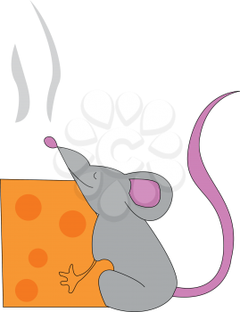 A grey rat having pink ears nose and tail are hugging a square piece of yellow cheese vector color drawing or illustration 