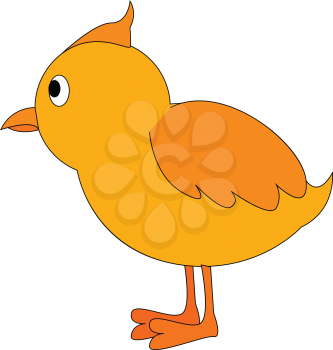 A side view of a yellow chick standing upright vector color drawing or illustration 