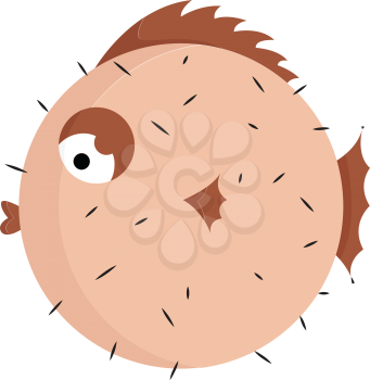 A brown puffer fish which is blown up having spikes on the body and dark brown fins vector color drawing or illustration 
