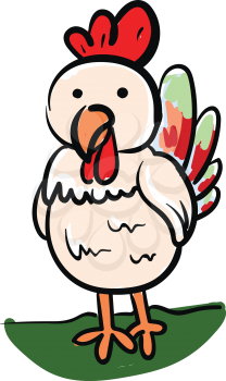 A small white chicken with colorful tail feathers standing in a green farm vector color drawing or illustration 