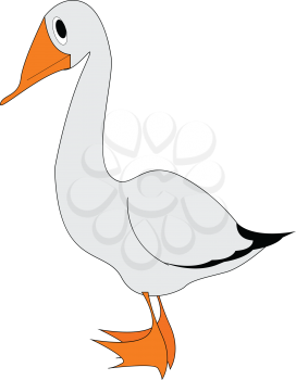 A large white goose an orange beak and feet vector color drawing or illustration 
