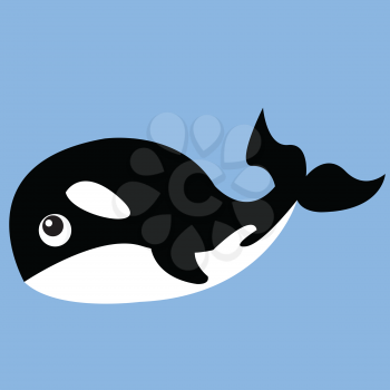 Cartoon of a killer whale sea animal against a blue background that feeds on fish and other species of dolphin vector color drawing or illustration 