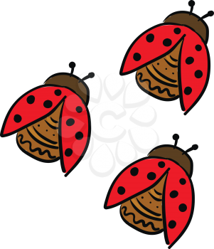 Three cute little dome-shaped lady beetles red in color and with some designs and black dots on their body are crawling vector color drawing or illustration 