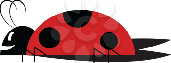 A cute little dome-shaped ladybug crawling on the land is laughing vector color drawing or illustration 