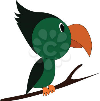 A green-colored Toucan bird perched on the branches of a tree has a tiny body and a very long-curved bill vector color drawing or illustration 