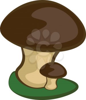Cute mom and baby cartoon mushrooms standing on a green land with a dark-brown colored cap and a pale brown stem vector color drawing or illustration 