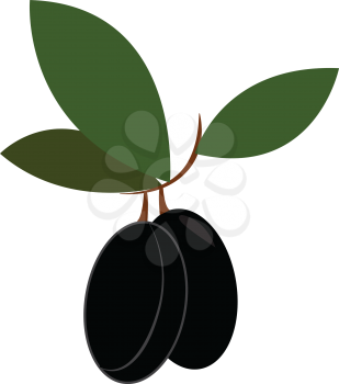 Black-colored cartoon olive with three oval-shaped dark-green leaves on a small branch vector color drawing or illustration 