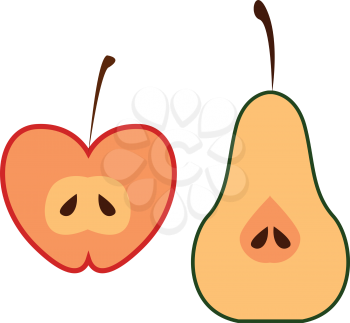 Half-cut apple and pear cartoon fruits with dark-red and dark-green colored respective outlines have two individual oval-shaped black seeds vector color drawing or illustration 