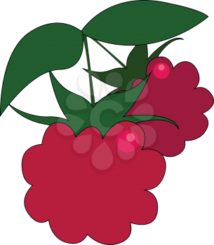 Clipart of two red fresh-looking raspberries with green leaves hang on a small branch and is ready to be plucked and enjoyed by someone vector color drawing or illustration 