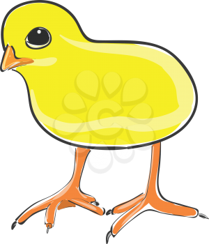 A cute chicken in bright yellow color with lengthy legs vector color drawing or illustration