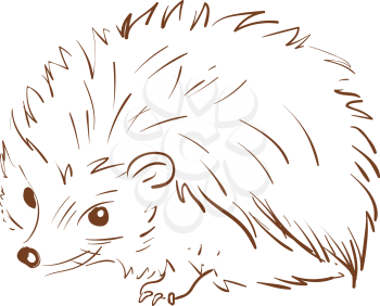 A brown sketch of a hedgehog animal with spines all over its circular-shaped body lies on the ground vector color drawing or illustration 