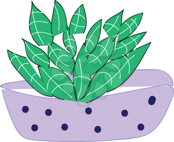 Purple vase with blue dots and green plant vector illustration on white background