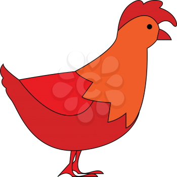 Red orange hen facing right illustration vector on white background